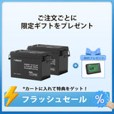 【2点/4点セット】12V 300Ah Coreシリーズ Mini リン酸鉄リチウムイオンバッテリー