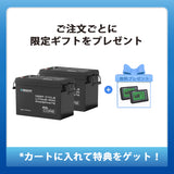 12V 300Ah/200Ah/100Ah Core シリーズ Mini リン酸鉄リチウムイオンバッテリー