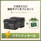 【2点/4点セット】12V 300Ah Coreシリーズ Mini リン酸鉄リチウムイオンバッテリー