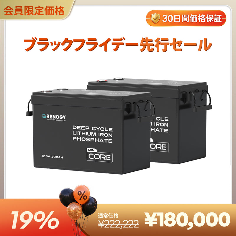 12V 300Ah Coreシリーズ Mini リン酸鉄リチウムイオンバッテリー
