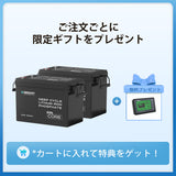 12V 300Ah Coreシリーズ Mini リン酸鉄リチウムイオンバッテリー