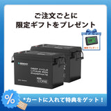 12V 300Ah Coreシリーズ Mini リン酸鉄リチウムイオンバッテリー