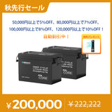 【2点/4点セット】12V 300Ah Coreシリーズ Mini リン酸鉄リチウムイオンバッテリー