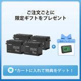 12V 300Ah/200Ah/100Ah Core シリーズ Mini リン酸鉄リチウムイオンバッテリー
