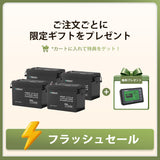 12V 300Ah Coreシリーズ Mini リン酸鉄リチウムイオンバッテリー
