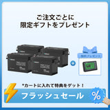 12V 300Ah/200Ah/100Ah Core シリーズ Mini リン酸鉄リチウムイオンバッテリー
