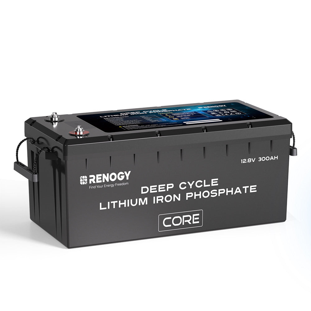 新品未使用　RENOGY core 100Ah リン酸鉄リチウムイオンバッテリー ヒート機能付き Core LTシリーズリン酸鉄リチウムイオン