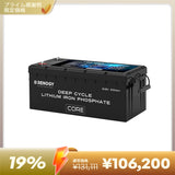 ヒート機能付き12V 300Ah Core LTシリーズ リン酸鉄リチウムイオンバッテリー