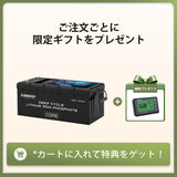 ヒート機能付き12V 300Ah Core LTシリーズ リン酸鉄リチウムイオンバッテリー