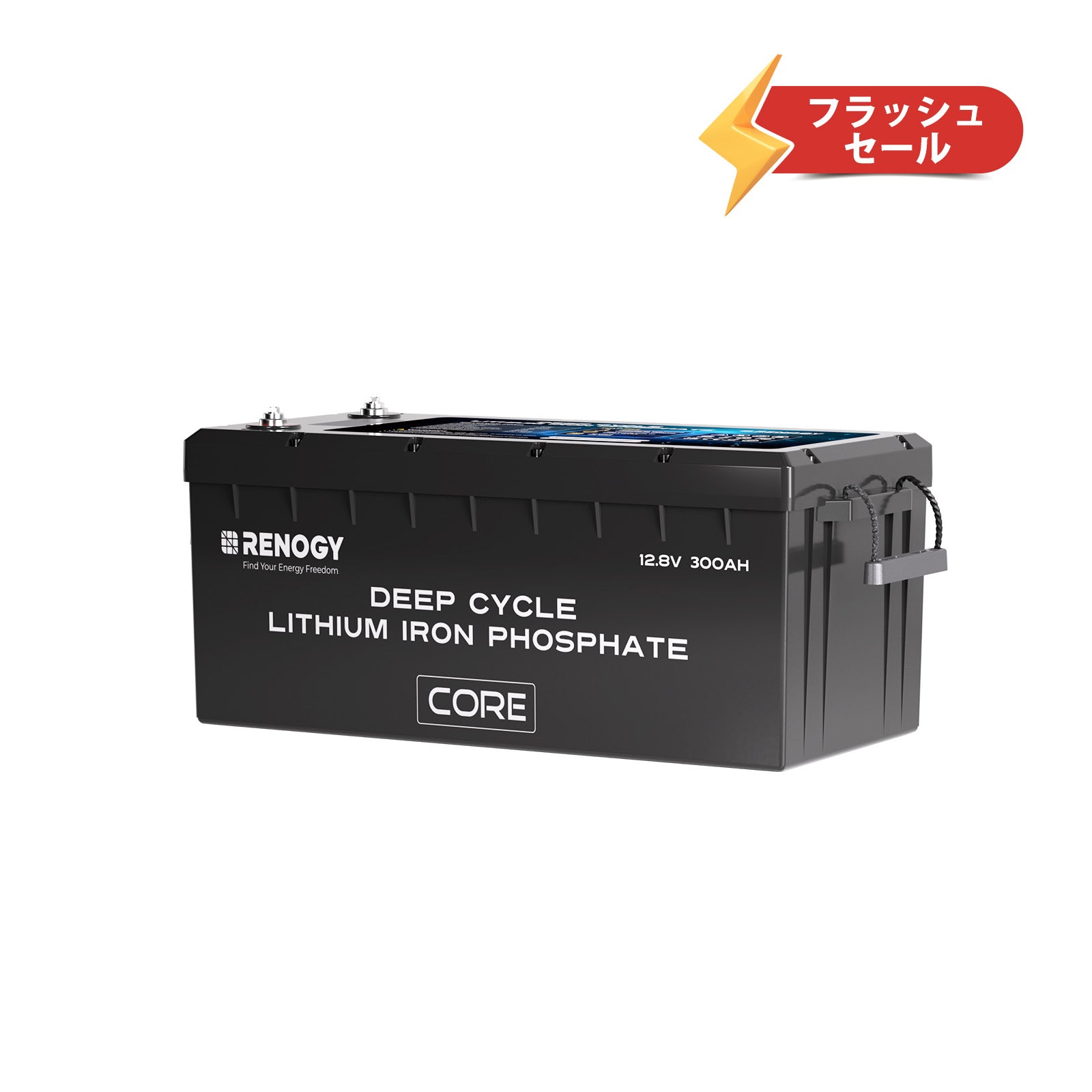 DCC 走行充電器12V 30A MPPTチャージコントローラー内蔵 | Renogy JP