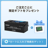 ヒート機能付き12V 300Ah Core LTシリーズ リン酸鉄リチウムイオンバッテリー