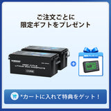 ヒート機能付き12V 300Ah Core LTシリーズ リン酸鉄リチウムイオンバッテリー