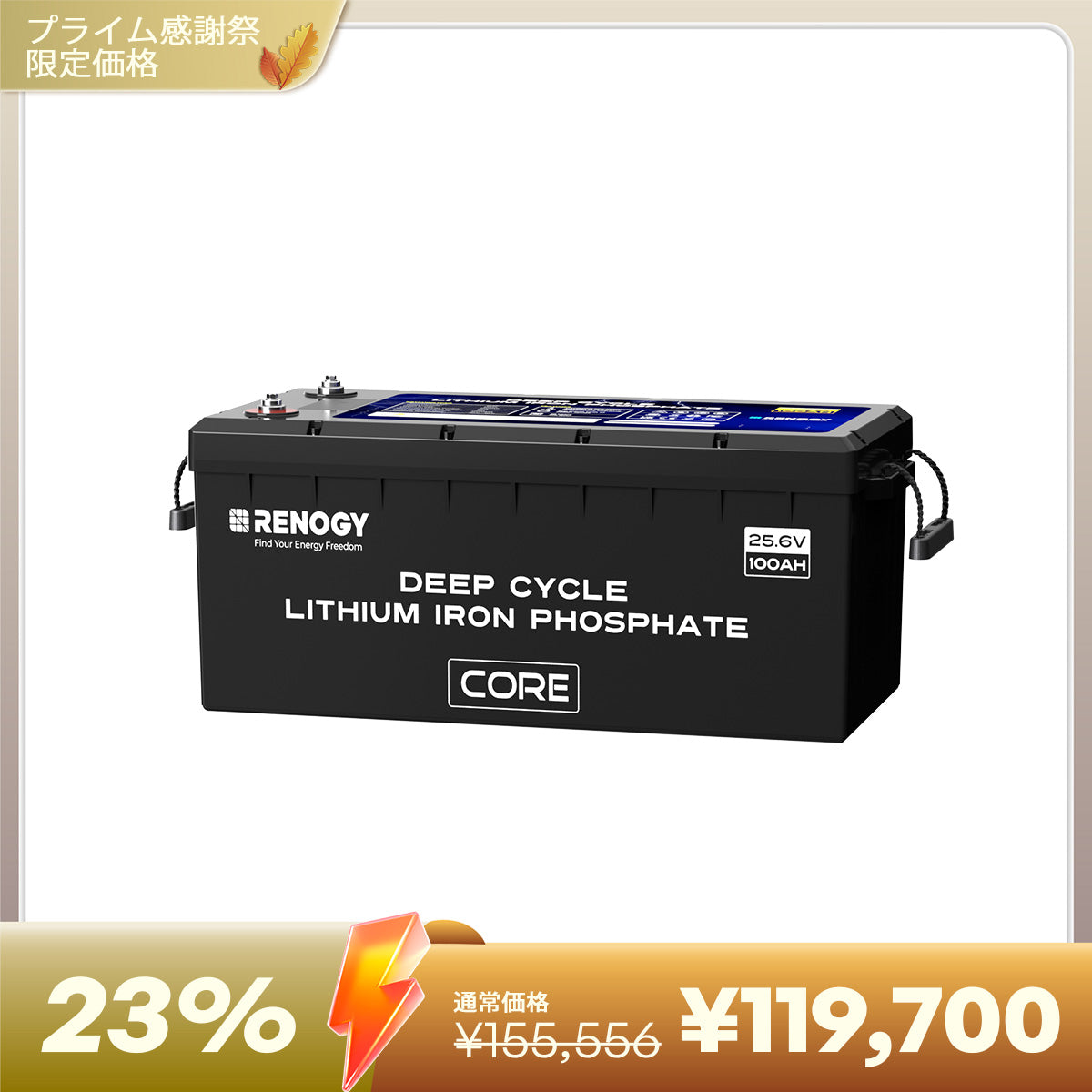 ヒート機能付き 24V200Ah Core LTシリーズ リン酸鉄リチウムイオンバッテリー