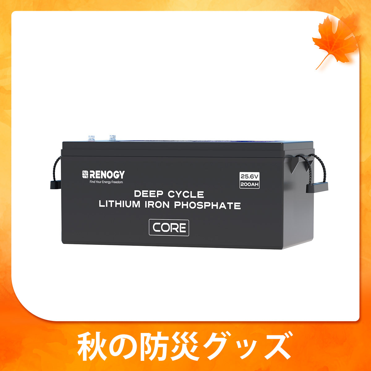 ヒート機能付き 24V200Ah/ 100Ah Core LTシリーズ リン酸鉄リチウムイオンバッテリー