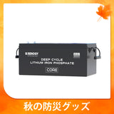ヒート機能付き 24V200Ah/ 100Ah Core LTシリーズ リン酸鉄リチウムイオンバッテリー