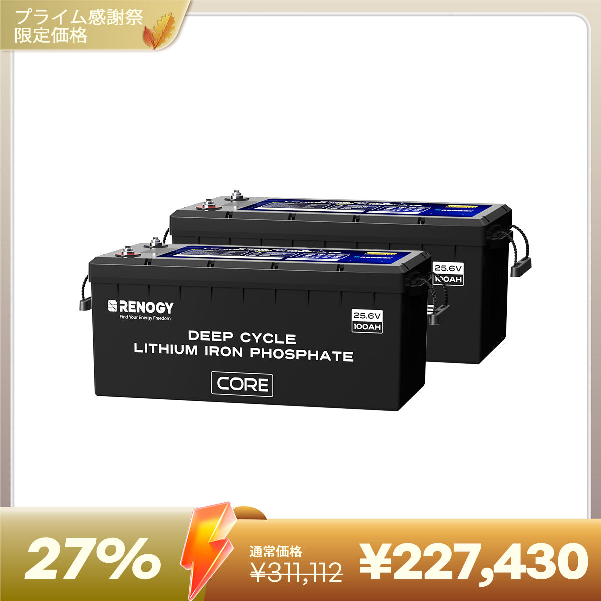 ヒート機能付き 24V200Ah Core LTシリーズ リン酸鉄リチウムイオンバッテリー