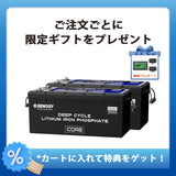 ヒート機能付き 24V200Ah Core LTシリーズ リン酸鉄リチウムイオンバッテリー