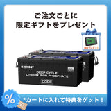 ヒート機能付き 24V200Ah Core LTシリーズ リン酸鉄リチウムイオンバッテリー