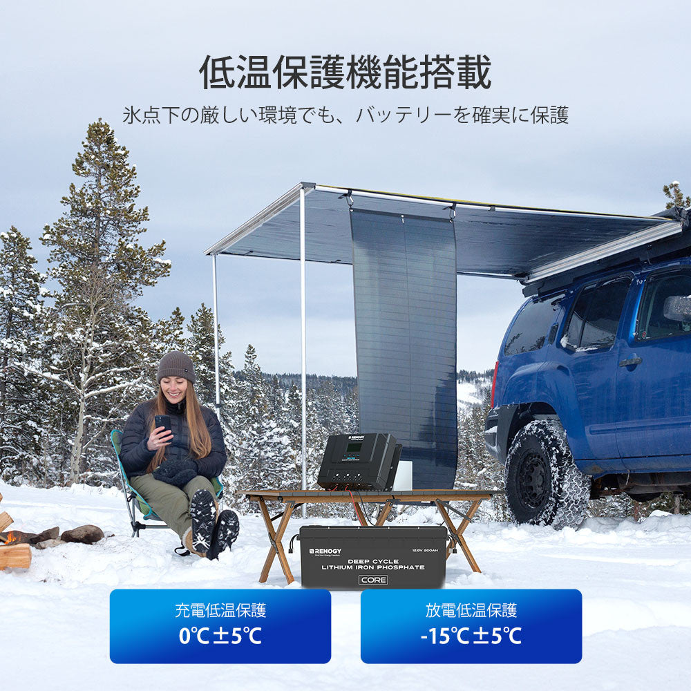 ROVER LITEシリーズ 60A 12V/24V/36V/48V  MPPT チャージコントローラー