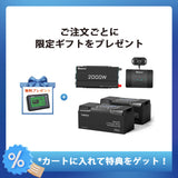 400Ah パワーキット｜200Ahヒート機能付きリン酸鉄リチウムイオンバッテリー×2+2000Wインバーター＋50A DCC 走行充電器