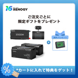 400Ah パワーキット｜200Ahヒート機能付きリン酸鉄リチウムイオンバッテリー×2+2000Wインバーター＋50A DCC 走行充電器