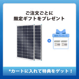 Renogy 100W 12V N型高効率 ソーラーパネル