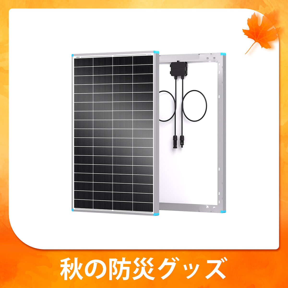 Renogy 200W/175W/100W N型高効率 ソーラーパネル