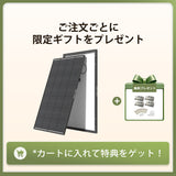 200W ShadowFluxシリーズ 影に強い N型 高効率ソーラーパネル