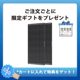 200W ShadowFluxシリーズ 影に強い N型 高効率ソーラーパネル