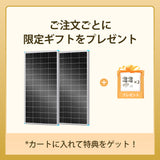 Renogy 200W 24V N型高効率 ソーラーパネル