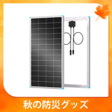 Renogy 200W 24V N型高効率 ソーラーパネル