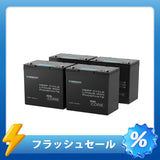 【2点/4点セット】12V 100Ah Core シリーズ Mini リン酸鉄リチウムイオンバッテリー