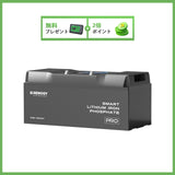 ヒート機能付き 12V 200Ah/100Ah Pro シリーズ リン酸鉄リチウムイオンバッテリー Bluetooth内蔵